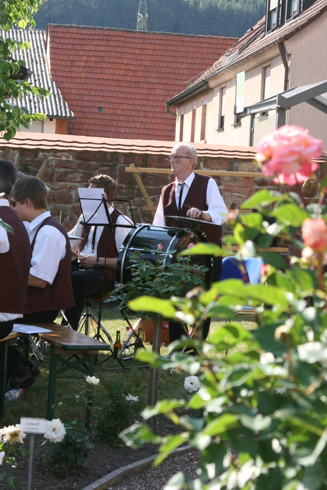 comp_2011 Rosengartens.0048.jpg